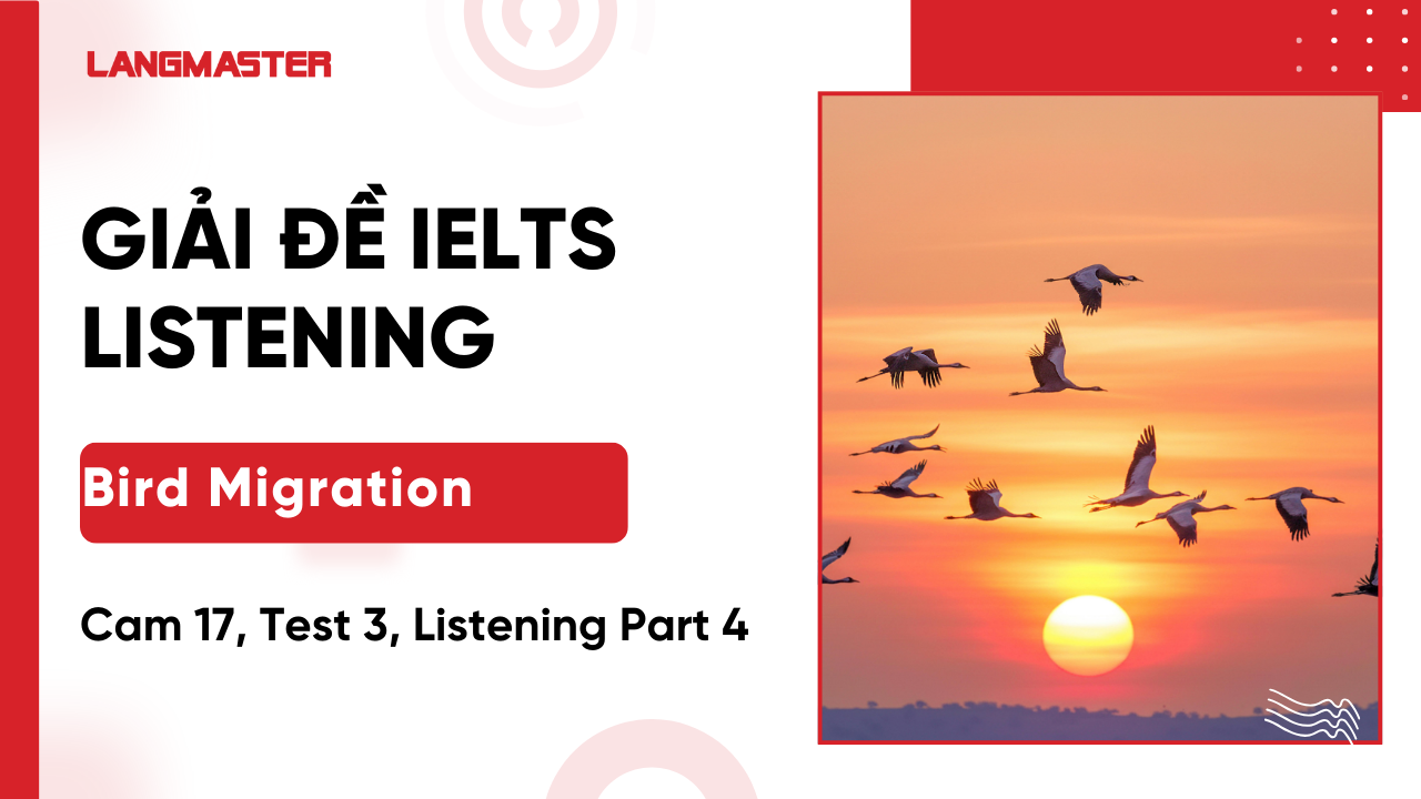 Giải Cam IELTS 17, Test 3, Listening Part 4: Bird Migration Theory [Full Answers]